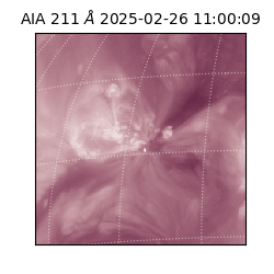 saia - 2025-02-26T11:00:09.633000