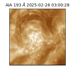 saia - 2025-02-26T03:00:28.846000