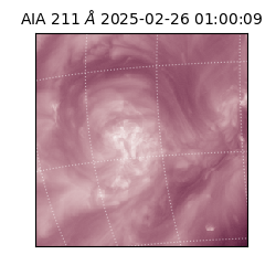 saia - 2025-02-26T01:00:09.626000