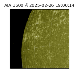 saia - 2025-02-26T19:00:14.126000