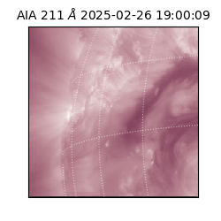 saia - 2025-02-26T19:00:09.626000