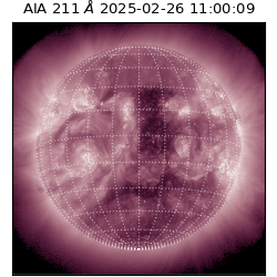 saia - 2025-02-26T11:00:09.633000