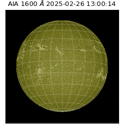 saia - 2025-02-26T13:00:14.125000