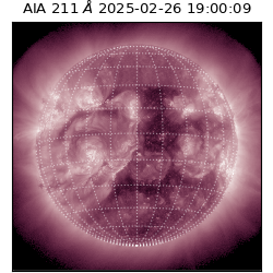 saia - 2025-02-26T19:00:09.626000