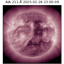 saia - 2025-02-26T23:00:09.630000