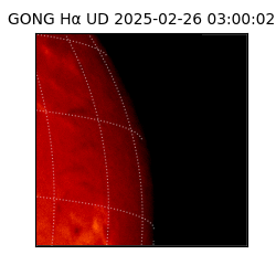 gong - 2025-02-26T03:00:02