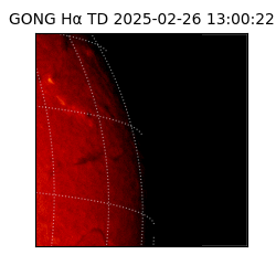 gong - 2025-02-26T13:00:22