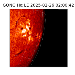 gong - 2025-02-26T02:00:42
