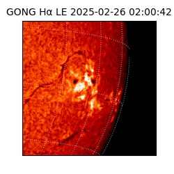 gong - 2025-02-26T02:00:42