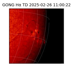 gong - 2025-02-26T11:00:22