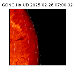 gong - 2025-02-26T07:00:02