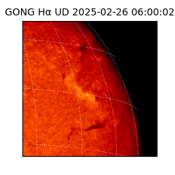 gong - 2025-02-26T06:00:02