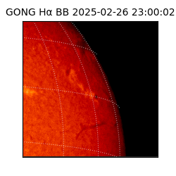 gong - 2025-02-26T23:00:02