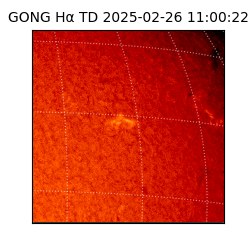 gong - 2025-02-26T11:00:22