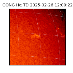 gong - 2025-02-26T12:00:22