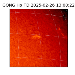 gong - 2025-02-26T13:00:22