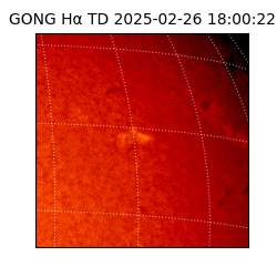 gong - 2025-02-26T18:00:22