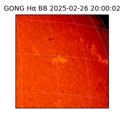 gong - 2025-02-26T20:00:02