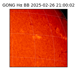 gong - 2025-02-26T21:00:02