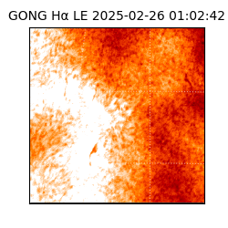 gong - 2025-02-26T01:02:42