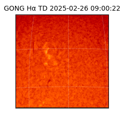gong - 2025-02-26T09:00:22