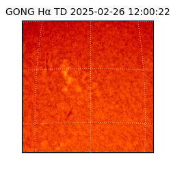 gong - 2025-02-26T12:00:22