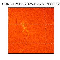 gong - 2025-02-26T19:00:02