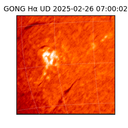 gong - 2025-02-26T07:00:02