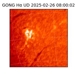 gong - 2025-02-26T08:00:02