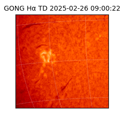 gong - 2025-02-26T09:00:22