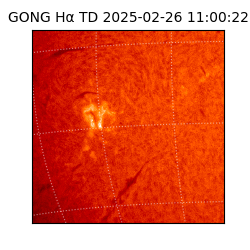 gong - 2025-02-26T11:00:22