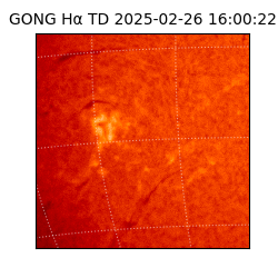 gong - 2025-02-26T16:00:22