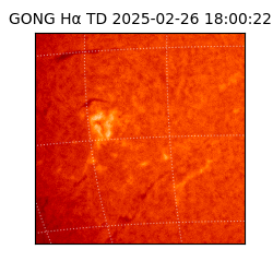 gong - 2025-02-26T18:00:22