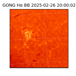 gong - 2025-02-26T20:00:02