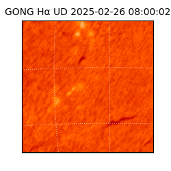 gong - 2025-02-26T08:00:02