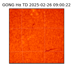 gong - 2025-02-26T09:00:22