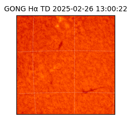 gong - 2025-02-26T13:00:22