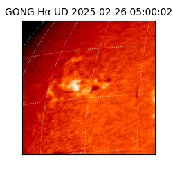gong - 2025-02-26T05:00:02