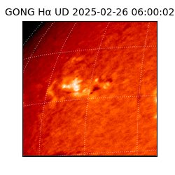 gong - 2025-02-26T06:00:02