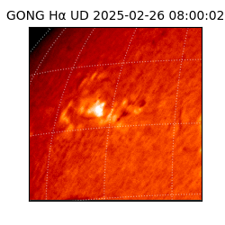 gong - 2025-02-26T08:00:02