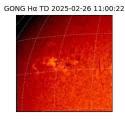gong - 2025-02-26T11:00:22