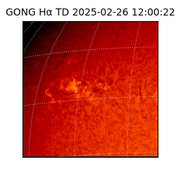 gong - 2025-02-26T12:00:22