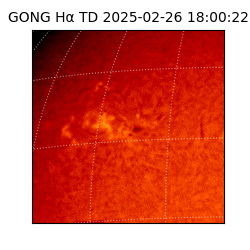 gong - 2025-02-26T18:00:22