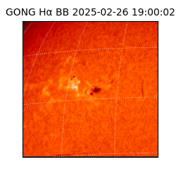 gong - 2025-02-26T19:00:02