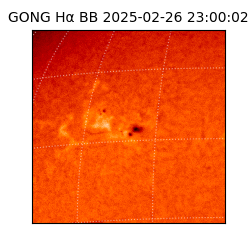 gong - 2025-02-26T23:00:02