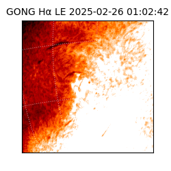 gong - 2025-02-26T01:02:42