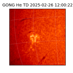 gong - 2025-02-26T12:00:22