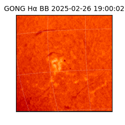 gong - 2025-02-26T19:00:02