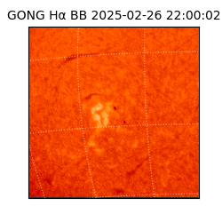gong - 2025-02-26T22:00:02