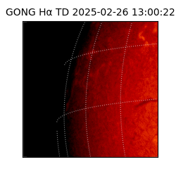 gong - 2025-02-26T13:00:22